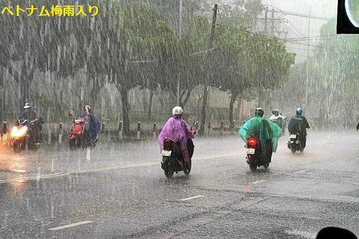 梅雨です