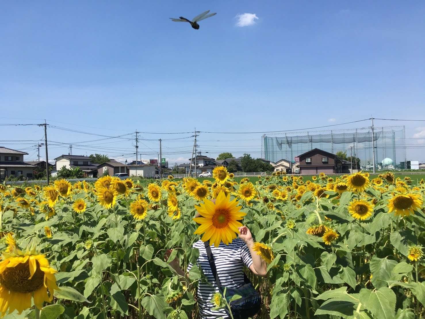 夏♪夏♪夏♪夏♪