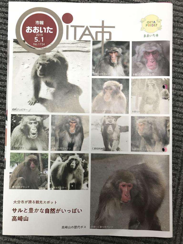 どうした? 高崎山の猿たち