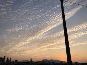 今日はいい天気でした☀