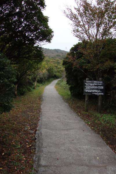 山登り