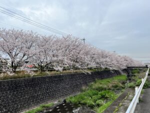 新年度もよろしくお願いします！