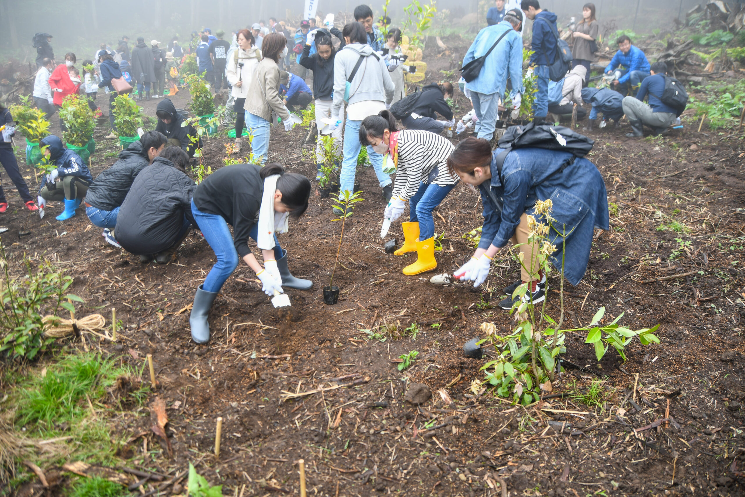 第1回・アイビック植樹祭を開催しました